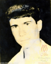 [darabshahid.ir01]