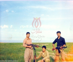 [darabshahid.ir06]