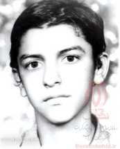 [darabshahid01]