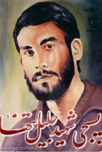[darabshahid02]